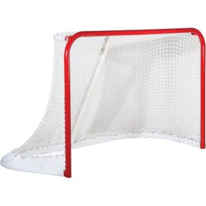 But de hockey 72x48