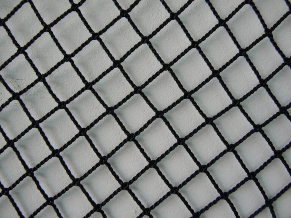 Net Series