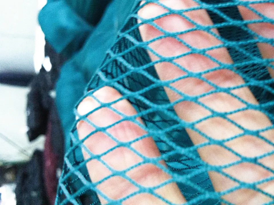 Net Series