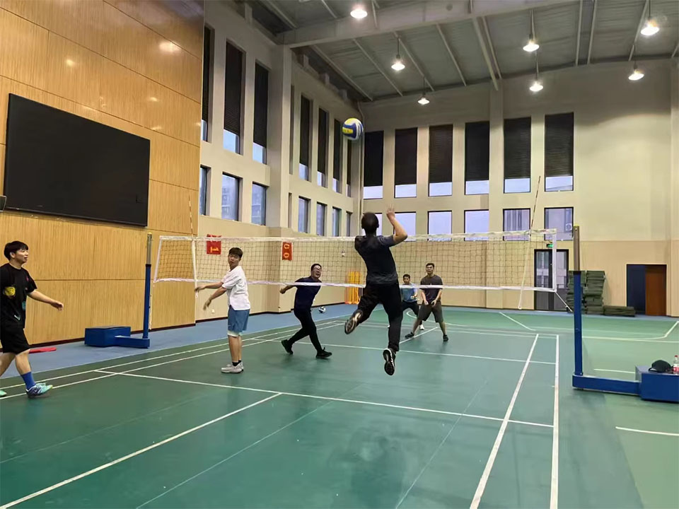 Rede de voleibol