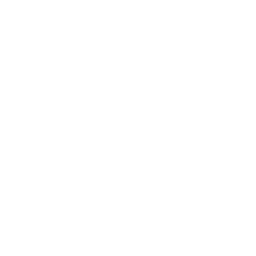 Automotive Electronics