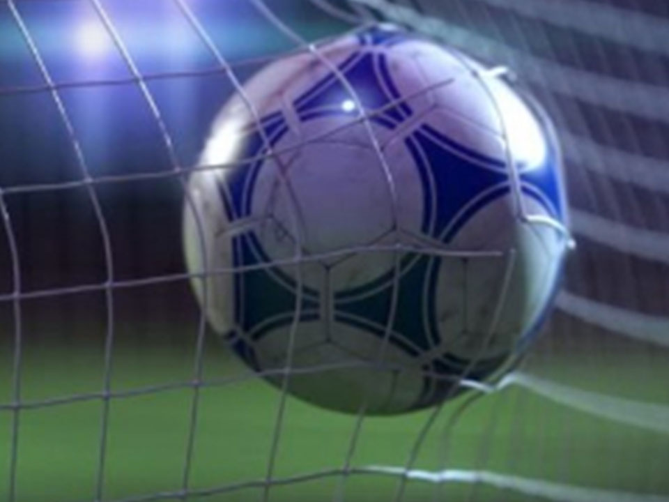 Ball protection Net Nylon Safety Football Net