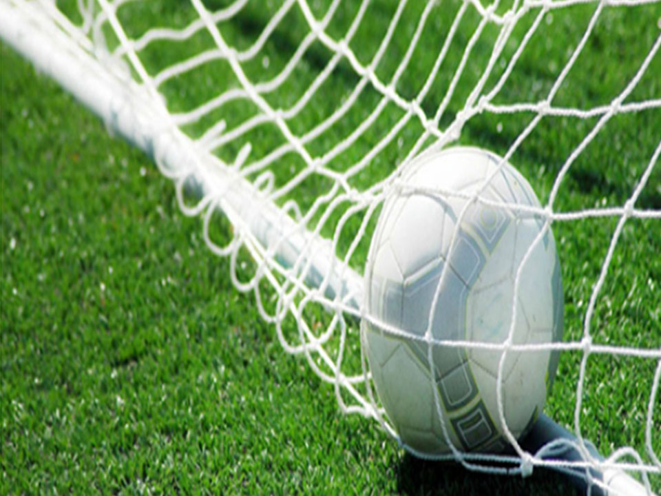 Ball protection Net Nylon Safety Football Net