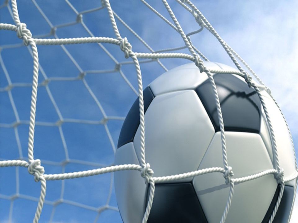 Ball protection Net Nylon Safety Football Net