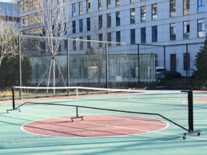 Rete da pickleball portatile Sport