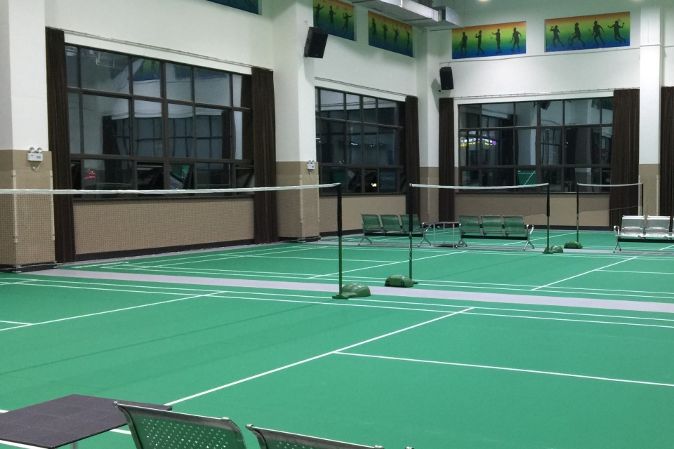 Red de bádminton