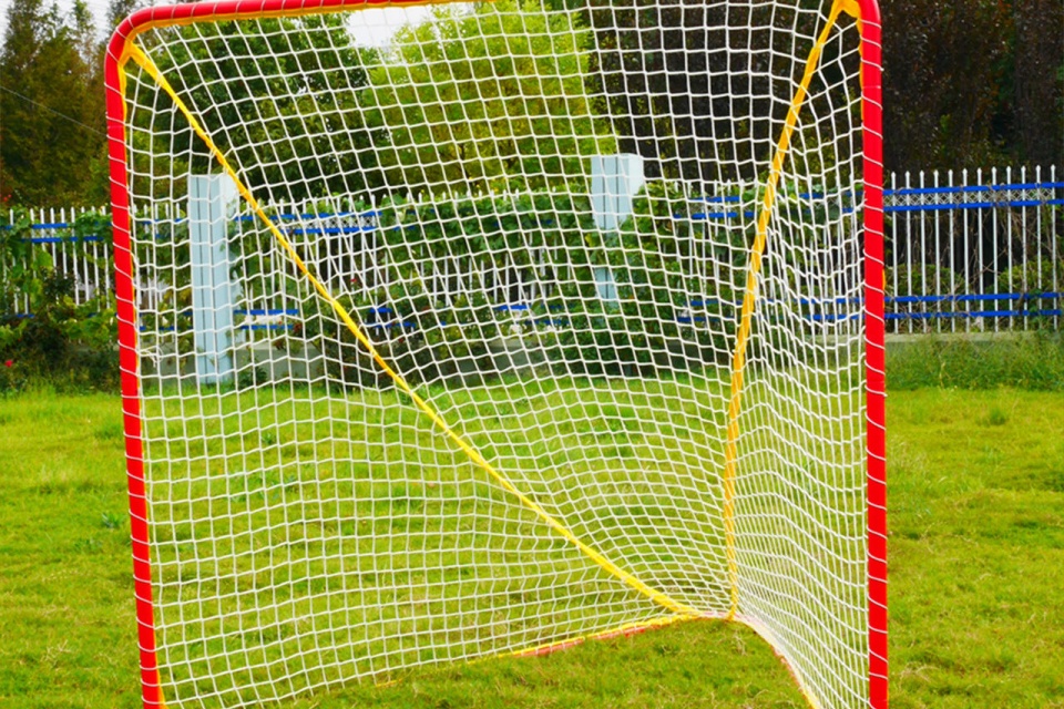 Lacrosse Goal