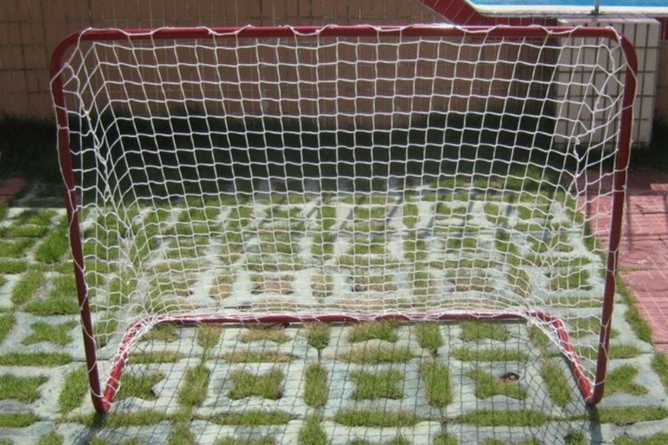 Eishockey-Tor