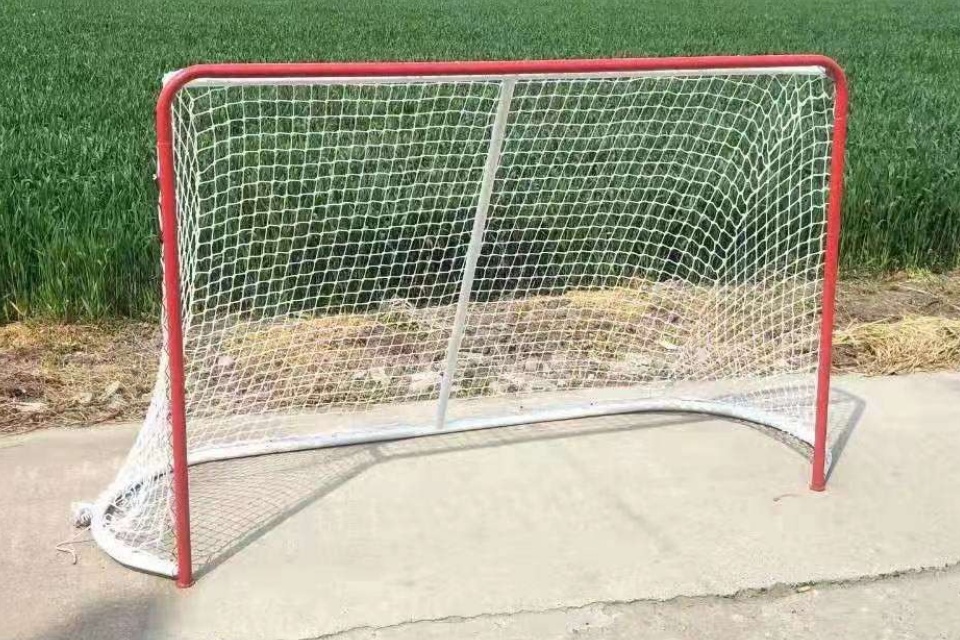 Eishockey-Tor