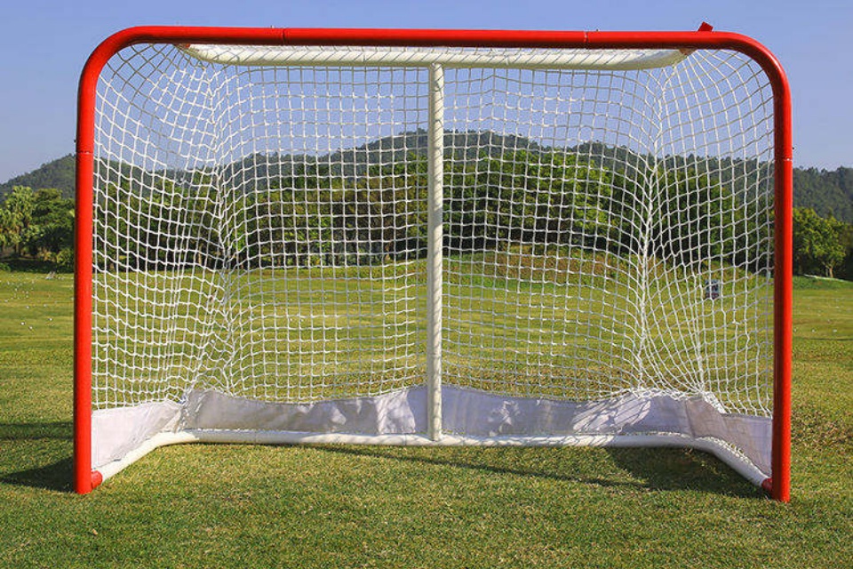 Eishockey-Tor