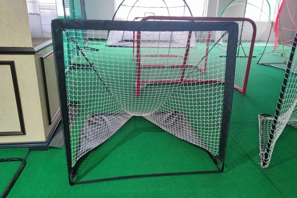 Lacrosse Goal