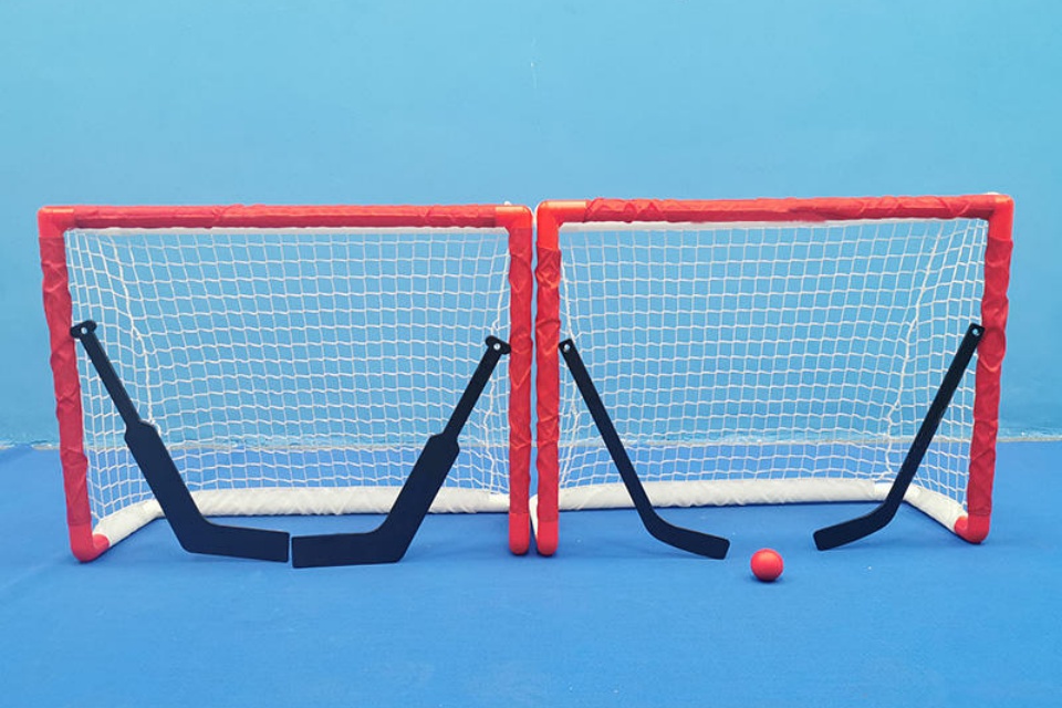 Lacrosse Goal