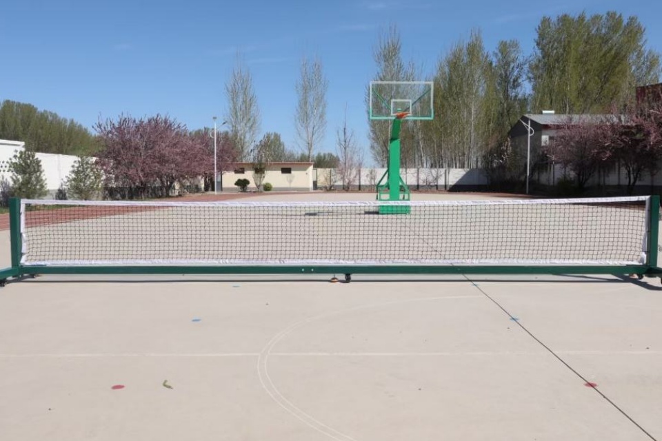 Rete da pickleball