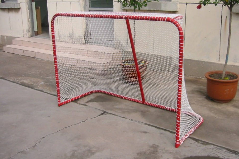 Lacrosse-Tor