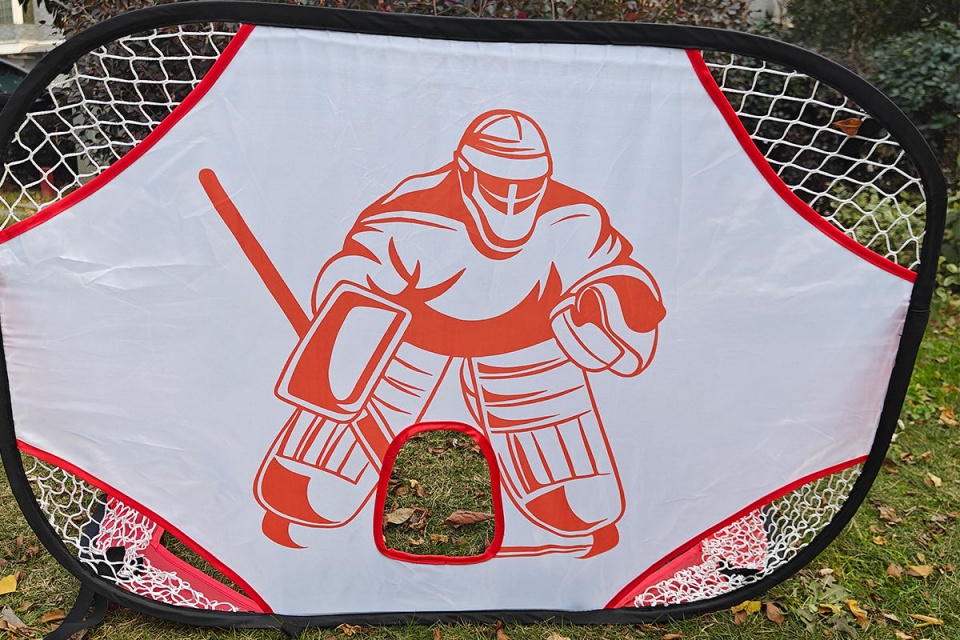 Lacrosse Goal