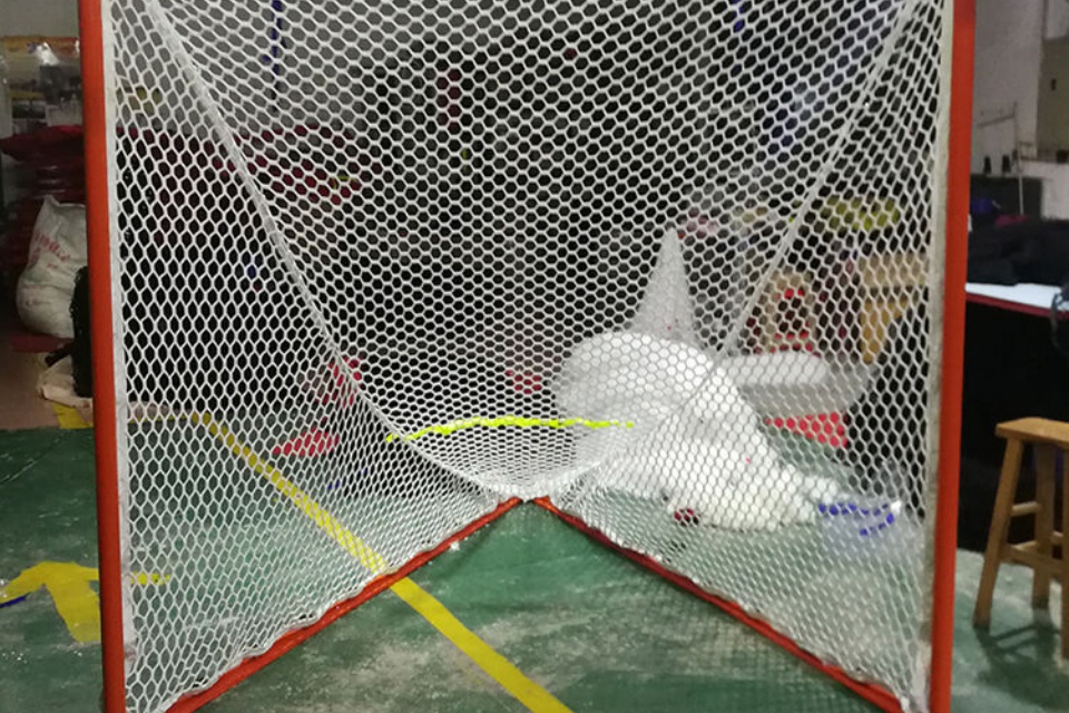 Portería de lacrosse