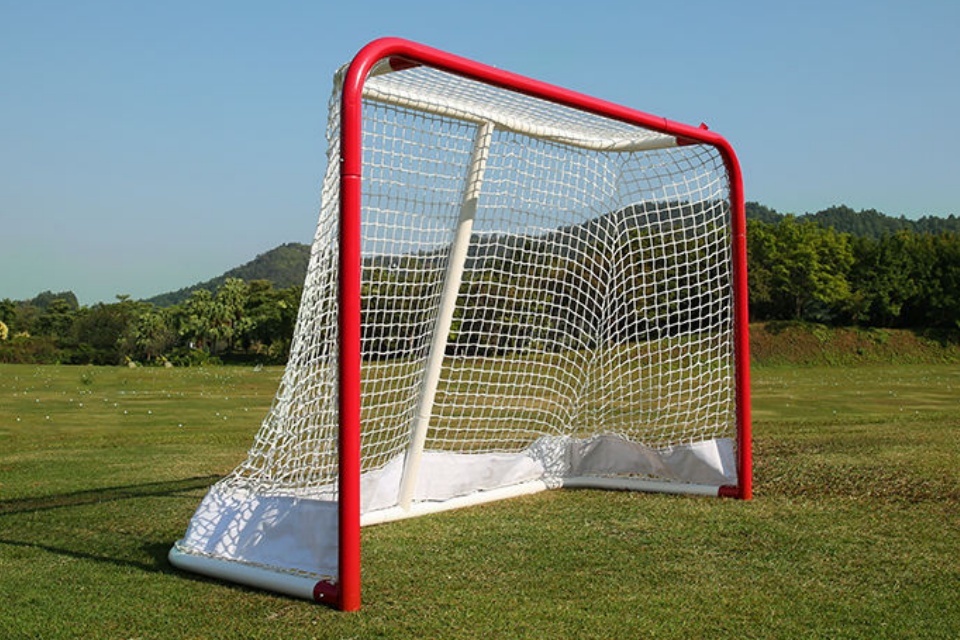 Lacrosse-Tor